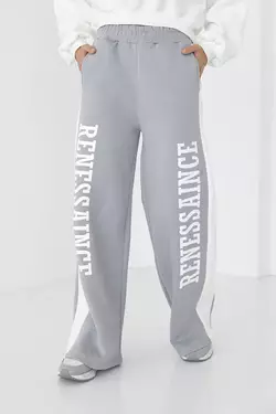 Теплые трикотажные штаны с лампасами и надписью Renes Saince - светло-серый цвет, L (есть размеры)